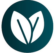 Audifort Natural Formula for Hearing