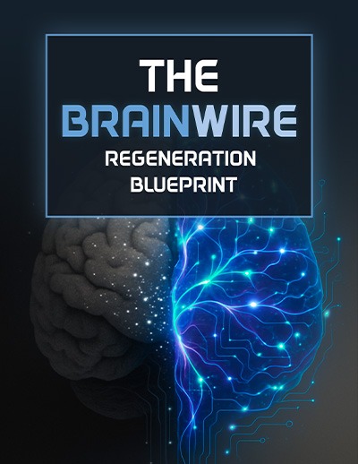 The Brainwire